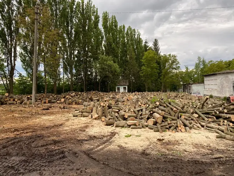 Wood Ukraine
