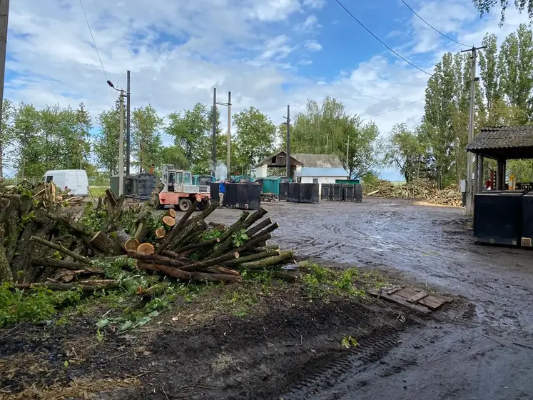 Wood Ukraine