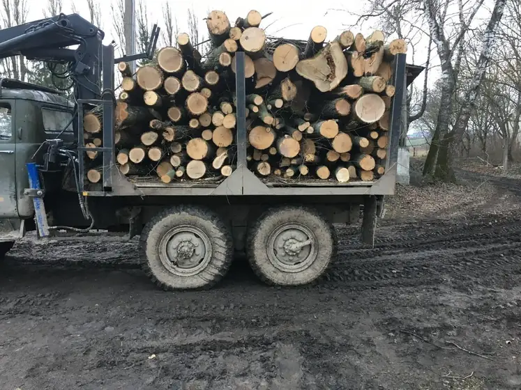 Wood Ukraine