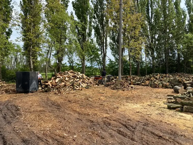 Wood Ukraine