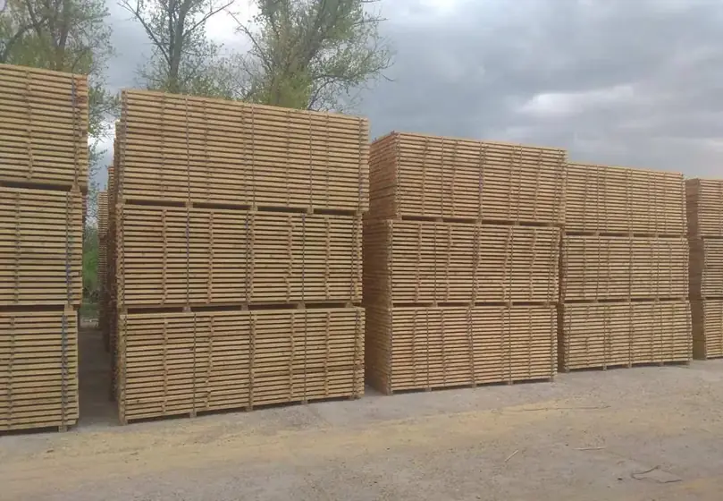 Wood Ukraine