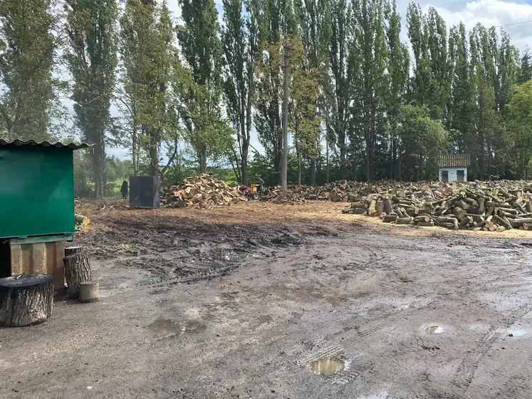 Wood Ukraine