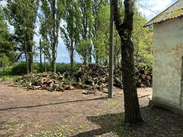 Wood Ukraine