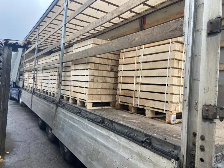 Wood Ukraine