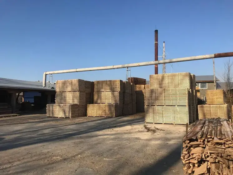 Wood Ukraine