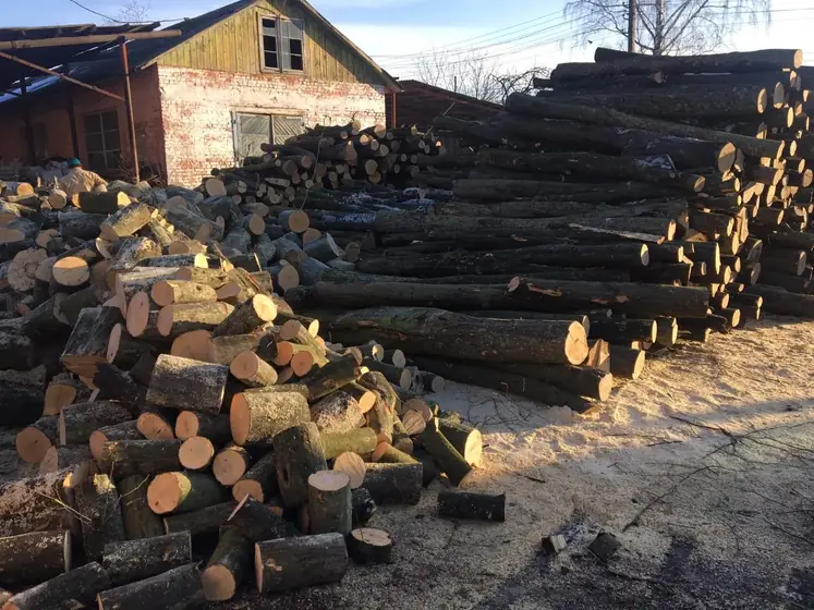 Wood Ukraine