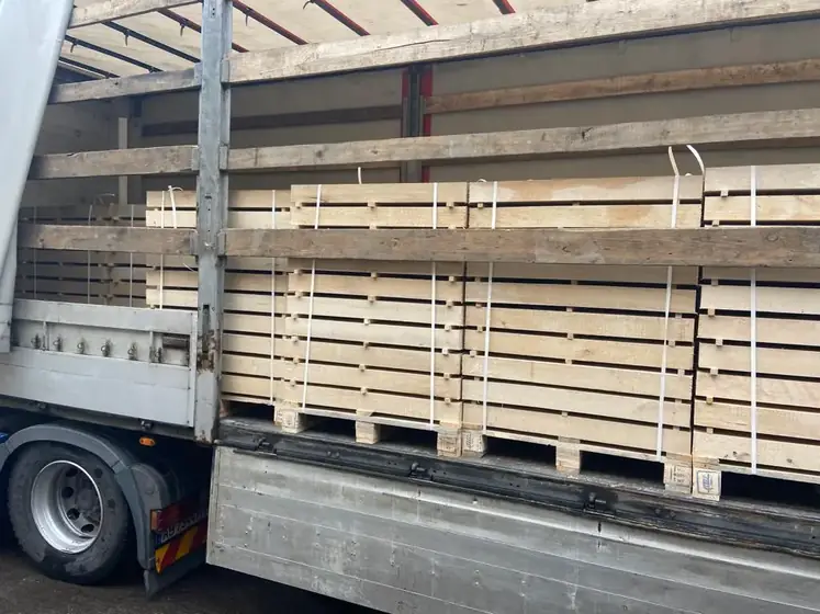 Wood Ukraine